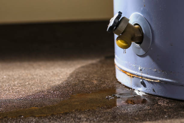 Best Water damage restoration near me  in West Jefferson, NC