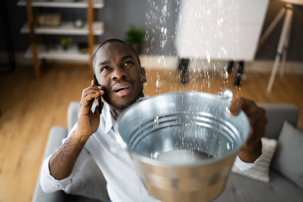 Best Water damage restoration near me  in West Jefferson, NC