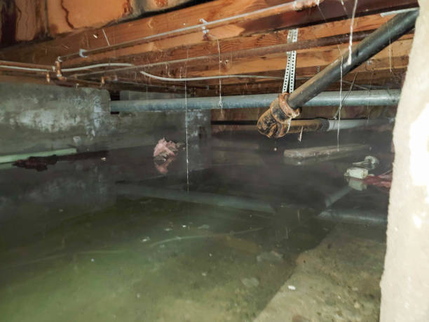  West Jefferson, NC Water damage restoration Pros