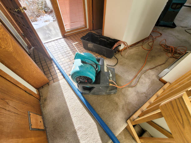 Best Emergency water damage restoration  in West Jefferson, NC