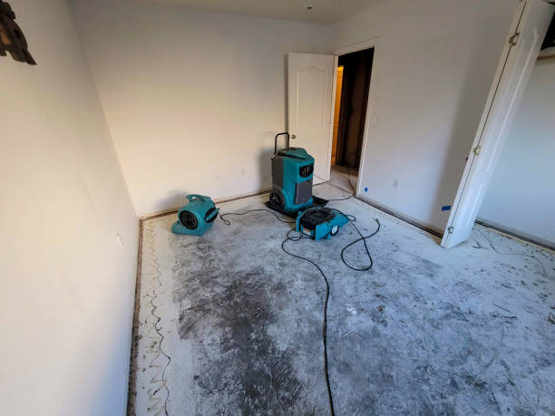 Best Local water damage restoration  in West Jefferson, NC