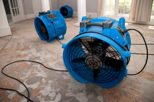 Best Flood restoration services  in West Jefferson, NC
