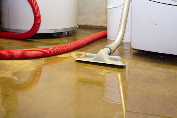 Best Basement water damage restoration  in West Jefferson, NC