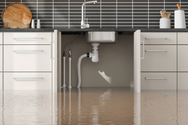 Best Carpet water damage restoration  in West Jefferson, NC