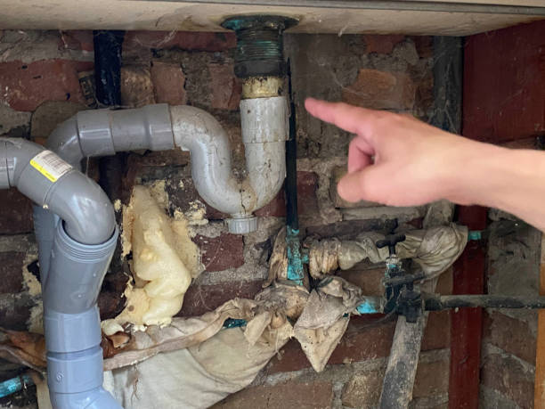 Best Water damage cleanup near me  in West Jefferson, NC